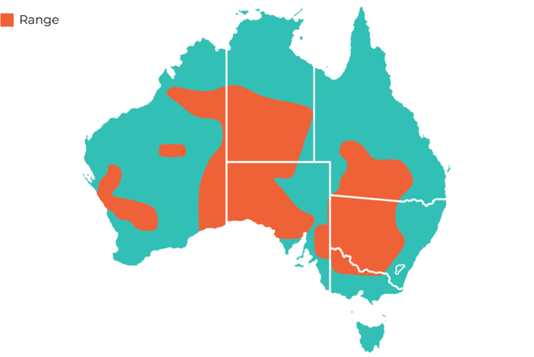 Oakvale Distribution Maps Major Mitchell Cockatoo