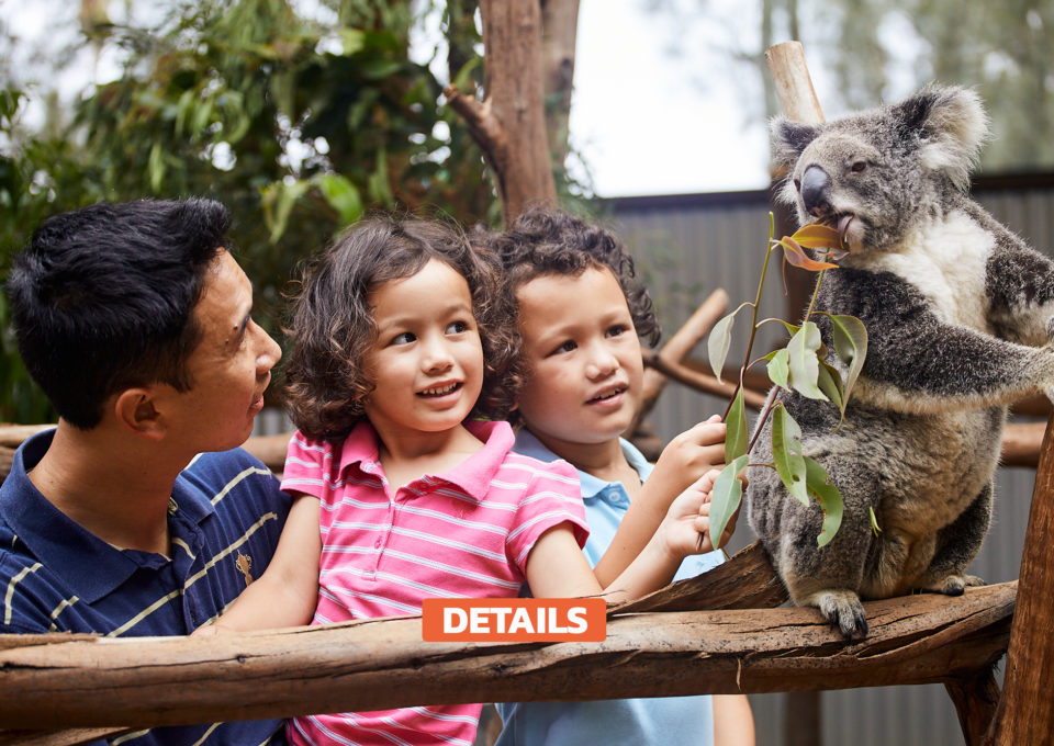 Redeem your $50 Parents NSW Voucher Online | Oakvale Wildlife