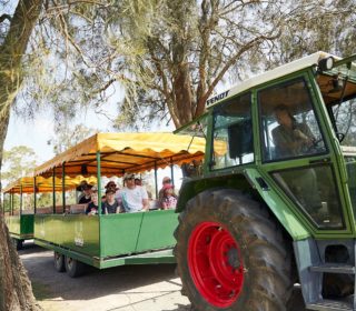 Tractor Trailer Ride | Oakvale Wildlife