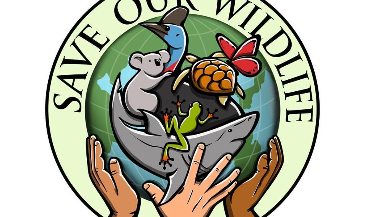 Save our Wildlife Donation to Tilligerry Habitat! | Oakvale Wildlife