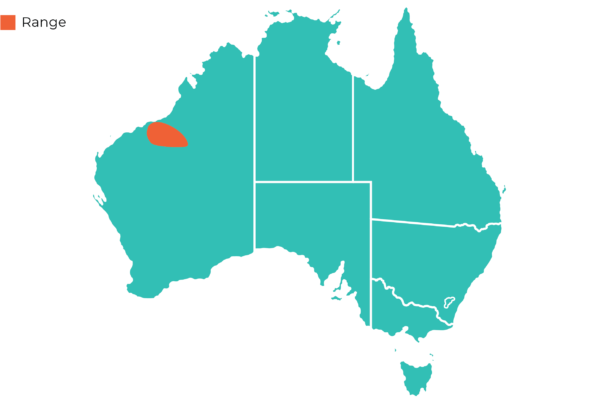 Oakvale Distribution Maps Eastern Pilbara Spiny Tailed Skink
