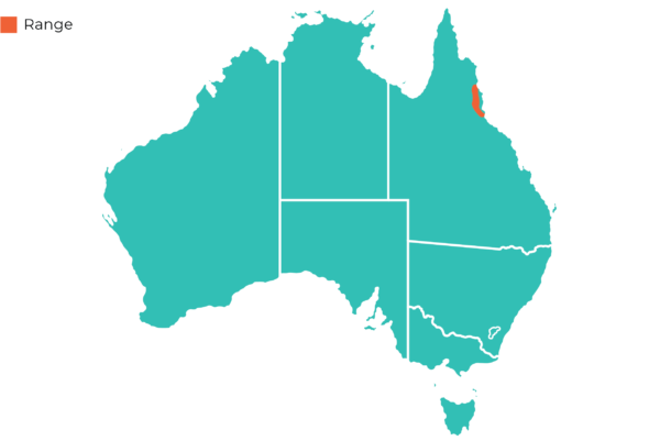 Oakvale Distribution Maps Lumholtz Tree Kangaroo