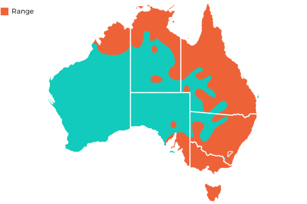 Oakvale Distribution Maps png Sulfur Crested Cockatoo