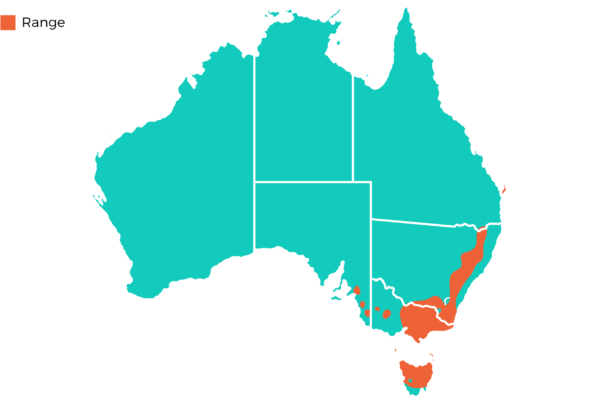 Oakvale Distribution Maps png Wombat